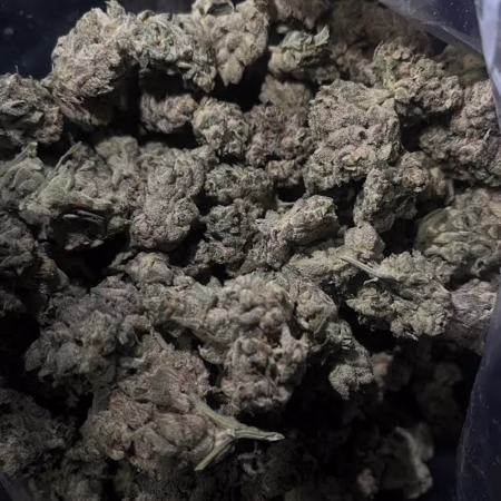 Close-up of Bubba OG cannabis buds showcasing their dense structure and rich green color, ideal for connoisseurs.