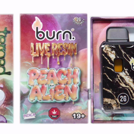 Burn Terped FSE Live Resin Disposable Pen 2g - Peach Alien offers a unique flavor experience in a convenient, portable design.