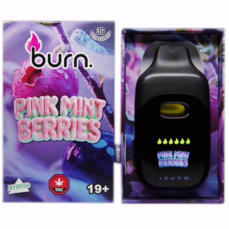 Burn Disposable Pen 3g - Pink Mint Berries offers a refreshing blend of mint and berry flavors in a convenient, portable design.