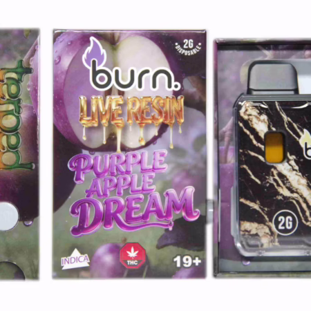 Burn Terped FSE Live Resin Disposable Pen 2g - Purple Apple Dream, featuring a sleek design and vibrant packaging.