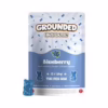 Grounded High Dose Bears – Blueberry 500mg in blue packaging featuring a gummy bear, ideal for cannabis consumers seeking edibles.