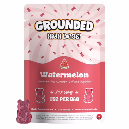 Grounded High Dose Bears – Watermelon 500mg, featuring a vibrant pink package and gummy bear, ideal for cannabis consumers.