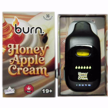Burn Disposable Pen 3g - Honey Apple Cream vape device shown next to its branded retail packaging on a plain white background.